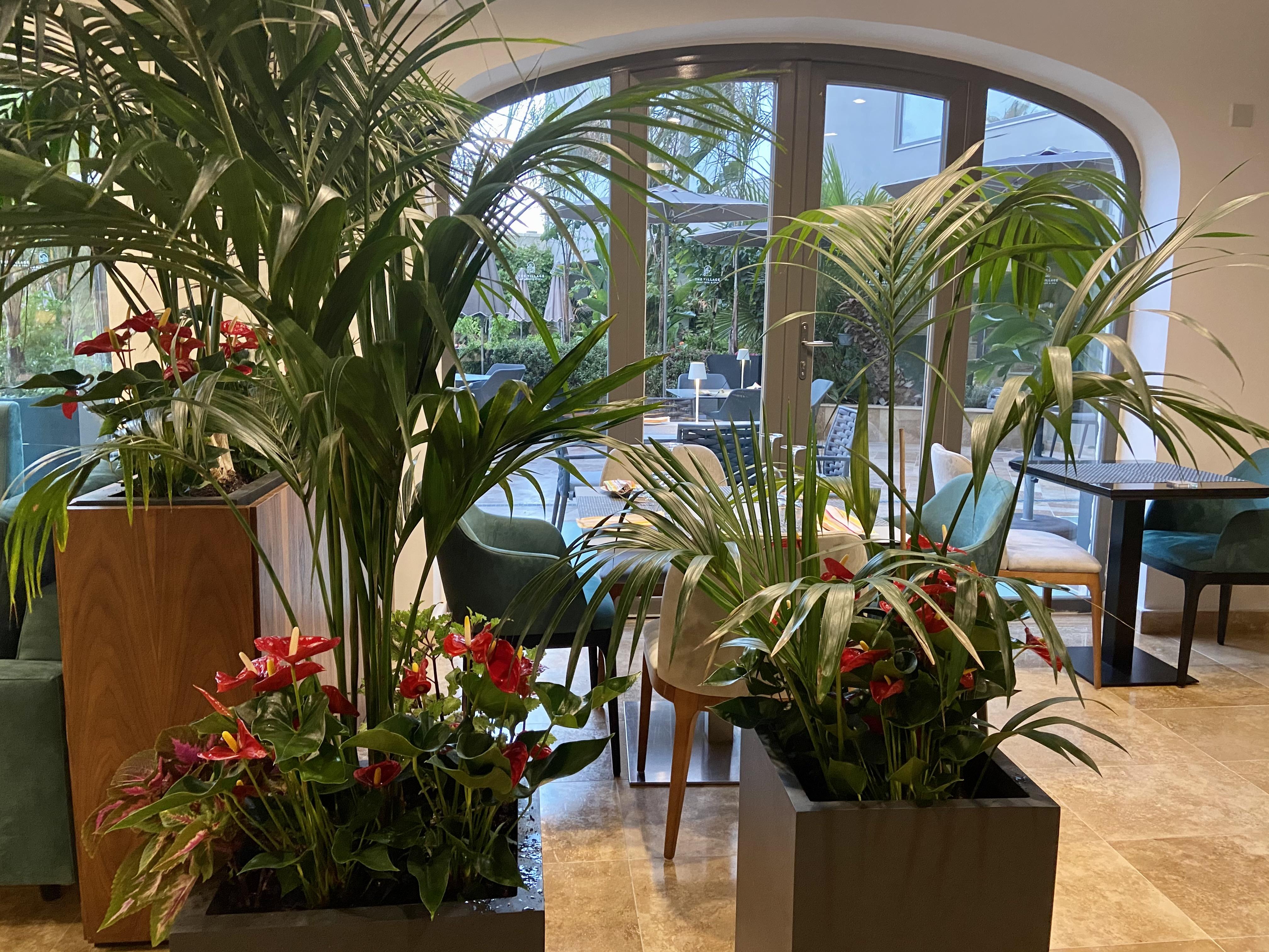 The Village Boutique And Spa ناسار المظهر الخارجي الصورة